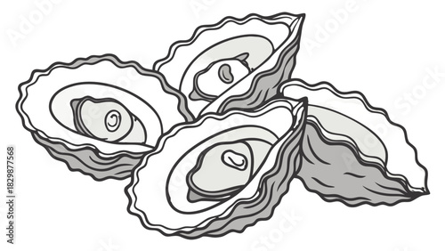 Hand-drawn Group of Oyster Shells Vector,  A hand-drawn monochrome line art illustration of a group of fresh oyster shells.