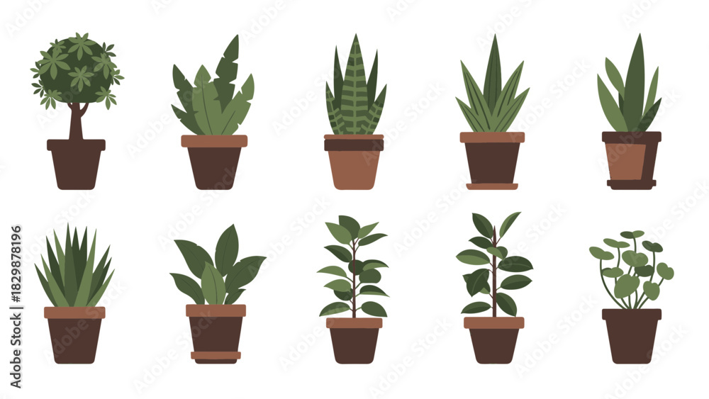 Obraz premium Stylish vector collection of various potted houseplants, perfect for enhancing home decor with diverse green indoor plants