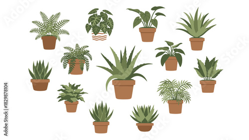 Heart-shaped collection of various potted houseplants for home decor and indoor gardening, botanical illustrations