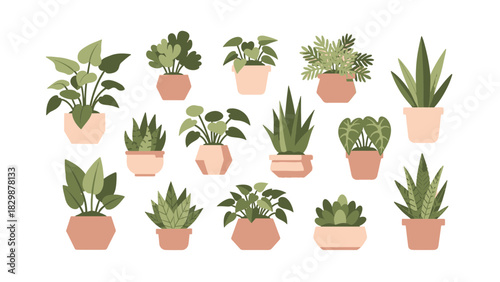 Diverse collection of vibrant indoor houseplants in various decorative pots, perfect for enhancing modern home and office interior aesthetics with natural greenery and freshness