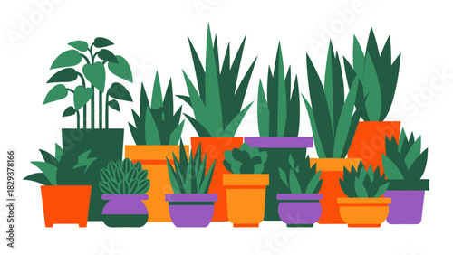 Colorful stylized collection of potted houseplants, perfect for modern interior design, natural decor, and botanical graphic elements