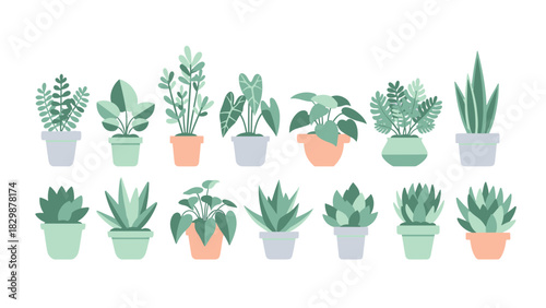 Diverse flat vector collection of potted houseplants, ideal indoor greenery for botanical decor, home interiors, and office spaces