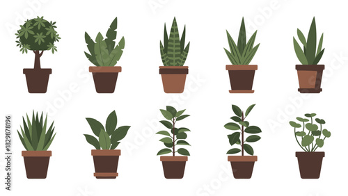 Stylish vector collection of various potted houseplants, perfect for enhancing home decor with diverse green indoor plants