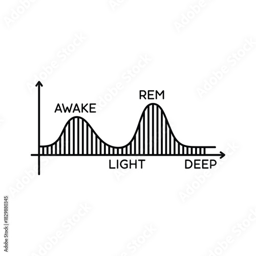 Sleep Stages Diagram with Awake, REM, Light, and Deep Phases