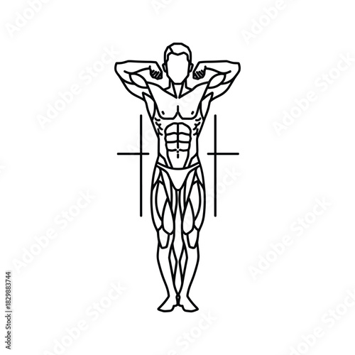 Muscular Male Bodybuilder in Front Double Biceps Pose with Highlighted Abdominals Line Art