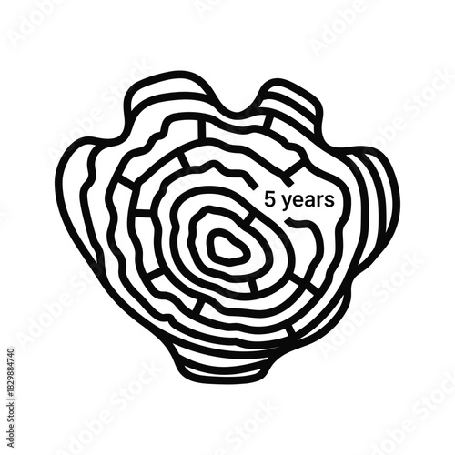 Five Year Anniversary Tree Rings Icon