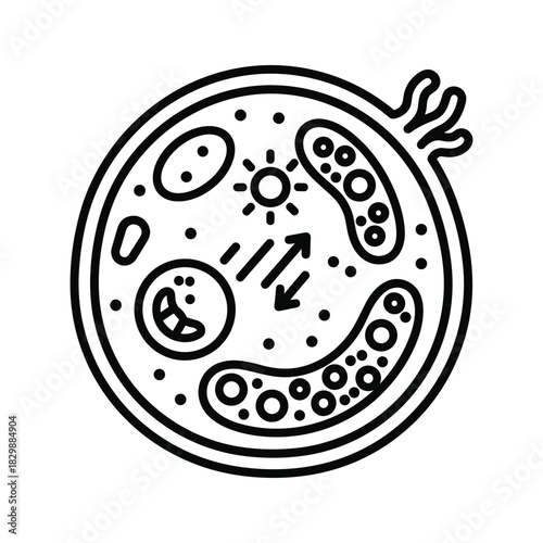 Biological Cell Structure and Function Line Art Icon