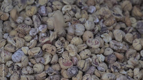 Battitura delle castagne