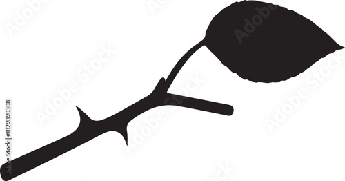a branch with leaf and thorn silhouette vector.