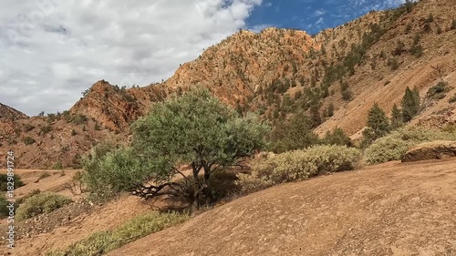 Red Rock Cliffs and Sedimentary Layers Along Brachina Gorge Geological Trail in Flinders Ranges National Park, South Australia