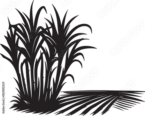 sugarcane plants on farmland landscape engraved agriculture field silhouette vector on a white background