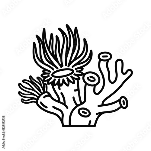Black and White Line Art Icon of Coral and Sea Anemone