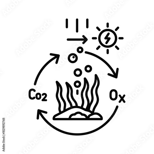 Aquatic Photosynthesis Cycle: Sunlight, Carbon Dioxide Intake, and Oxygen Release