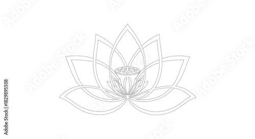 Elegant Line Drawing of a Symmetrical Lotus Flower with Detailed Petals for Meditation and