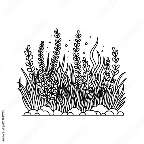 Stylized Botanical Garden Plants and Rocks Line Art