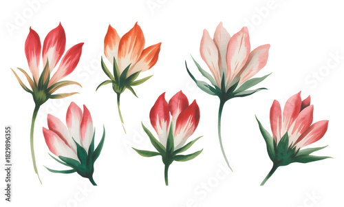 Soft watercolor sweet pea blossoms in gentle pastel tones. Botanical sweet pea flowers isolated on white background.