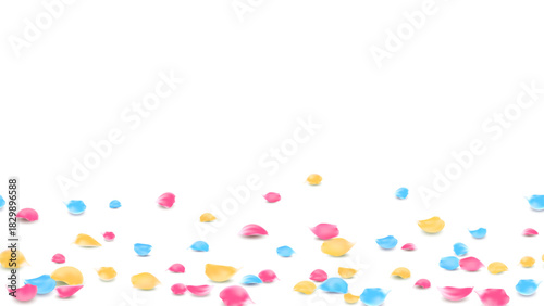 Colorful sweet rose petals on floor background of lovely banner