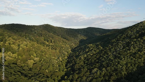 Aerial drone view of forest and hills
