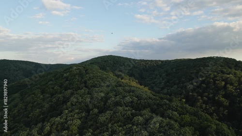 Aerial drone view of forest and hills