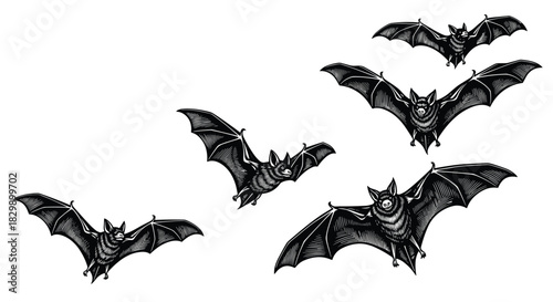 Flying bats collection in engraving style with black and blue details, spooky nocturnal animals, detailed vintage vector illustration for Halloween or horror.