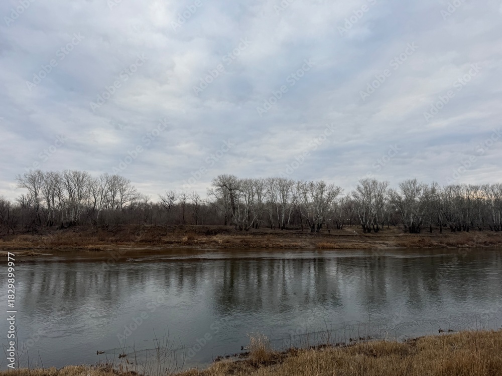 Fototapeta premium overcast river with bare trees, reflective still water and reed-lined shore, cool gray palette and subtle ripples, quiet isolated atmosphere perfect