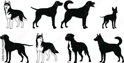 Vector collection of black dog silhouettes representing various breeds like husky and labrador isolated on white background for design
