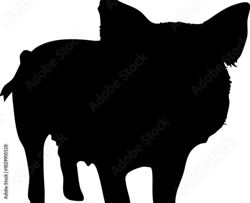 silhouette of a pig