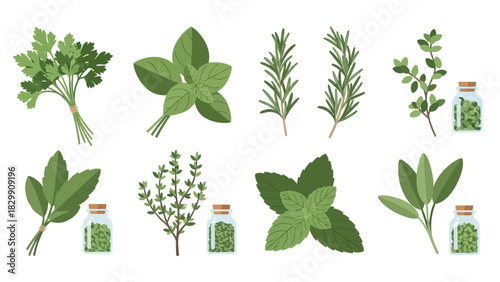 Assortment of Fresh Culinary Herbs and Spices.