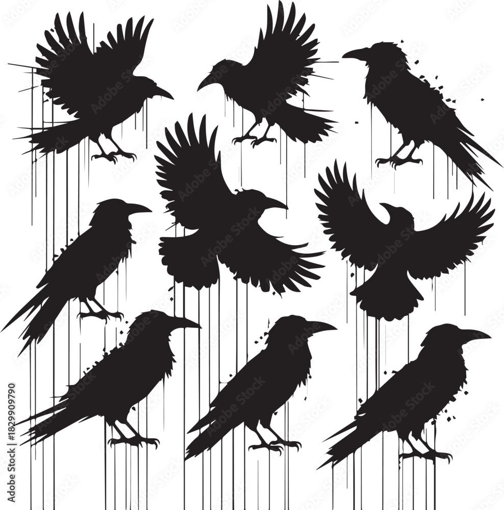 Naklejka premium Silhouetted ravens in various poses against white background