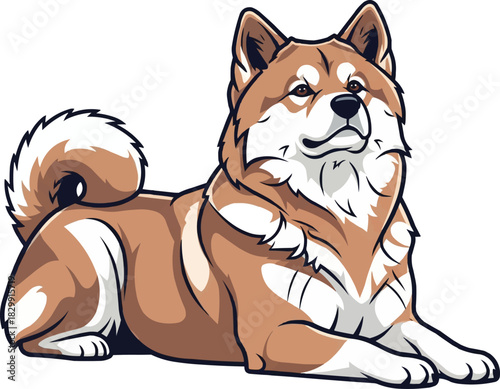 Hokkaido Inu dog lying down relaxed with head raised 