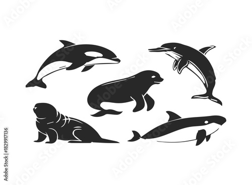 Aquarium mammals dolphin and porpoise icons