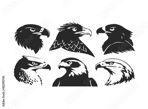 Birds of prey icon set featuring eagle hawk and falcon