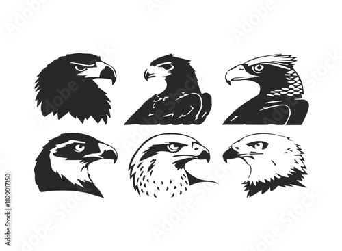 Birds of prey icon set featuring eagle hawk and falcon
