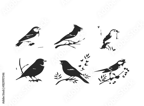 Nightingale and canary birdsong series icon