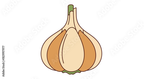 A simple illustration of a whole garlic bulb with green stem and layers