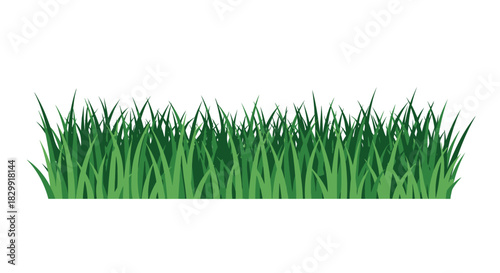 A vibrant strip of green grass isolated on a white background