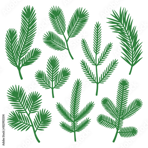 Fir branch set, Christmas tree branches, pine, spruce twig