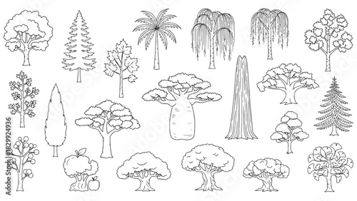 A collection of 19 diverse tree species illustrations, presented as black outline vector art on a white background, featuring various deciduous, conifer, palm, baobab, and weeping willow forms.
