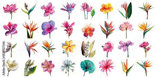 Vibrant watercolor collection of tropical exotic flowers in a variety of colors and shapes