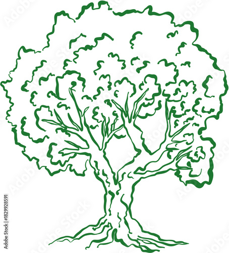 Biblical Doodle Olive Tree Sketch Symbol of Peace