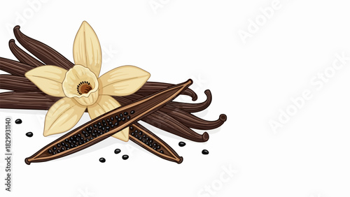 Fragrant vanilla bean with vanilla flower is a wonderful ingredient. Vanilla bean adds aroma and flavor to every recipe, a sweet, warm addition to any dessert.