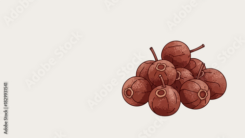 Pile of soap nuts, natural detergent, eco friendly cleaning agent. This pile of soap nuts is an ecological alternative to chemical washing powders for laundry.