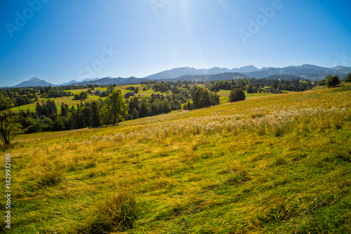 Fototapeta Naklejka Na Ścianę i Meble -  Wide aerial panorama of the Tatra Mountains from Walkosze viewpoint in Olcza, near Zakopane, Poland. Scenic September landscape featuring golden fields and rural houses.