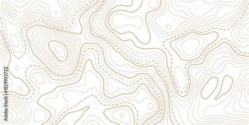 Seamless Light topographic topo contour map background, vector illustration .Mountain trail terrain or path. Vector illustration.