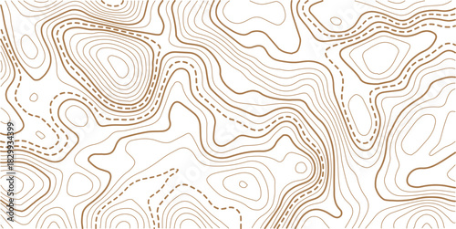 Seamless Light topographic topo contour map background, vector illustration .Mountain trail terrain or path. Vector illustration.