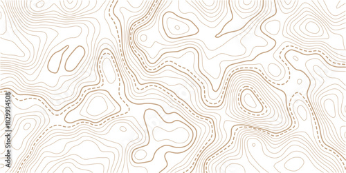  Topographic gold luxury map background. Geographic abstract pattern.The concept of a conditional geography scheme and contour line map image. 
