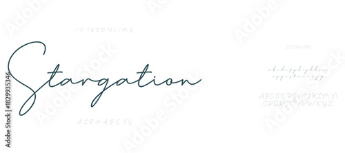 Elegant alphabet letters font logo. Typography luxury classic lettering serif fashion fonts decorative wedding vintage retro logos. vector illustration