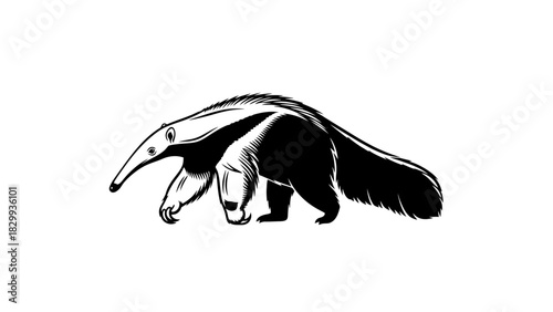 Elegant anteater illustration showcasing wildlife beauty, perfect for educational or conservation projects