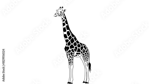 Majestic giraffe standing tall wildlife animal with patterned coat in graphic style illustration for print design