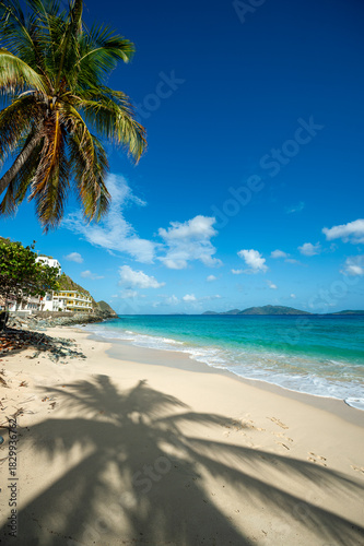 Palm-lined and shaded white sands of Apple Bay beach on Tortola in the British Virgin Islands